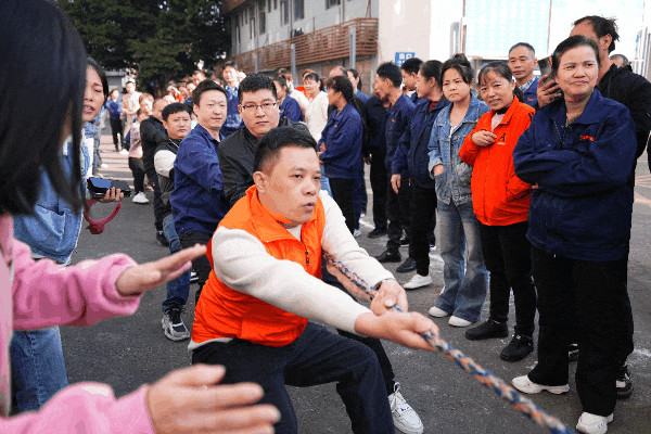 What progress will be made in the 2026 New Year celebrations?